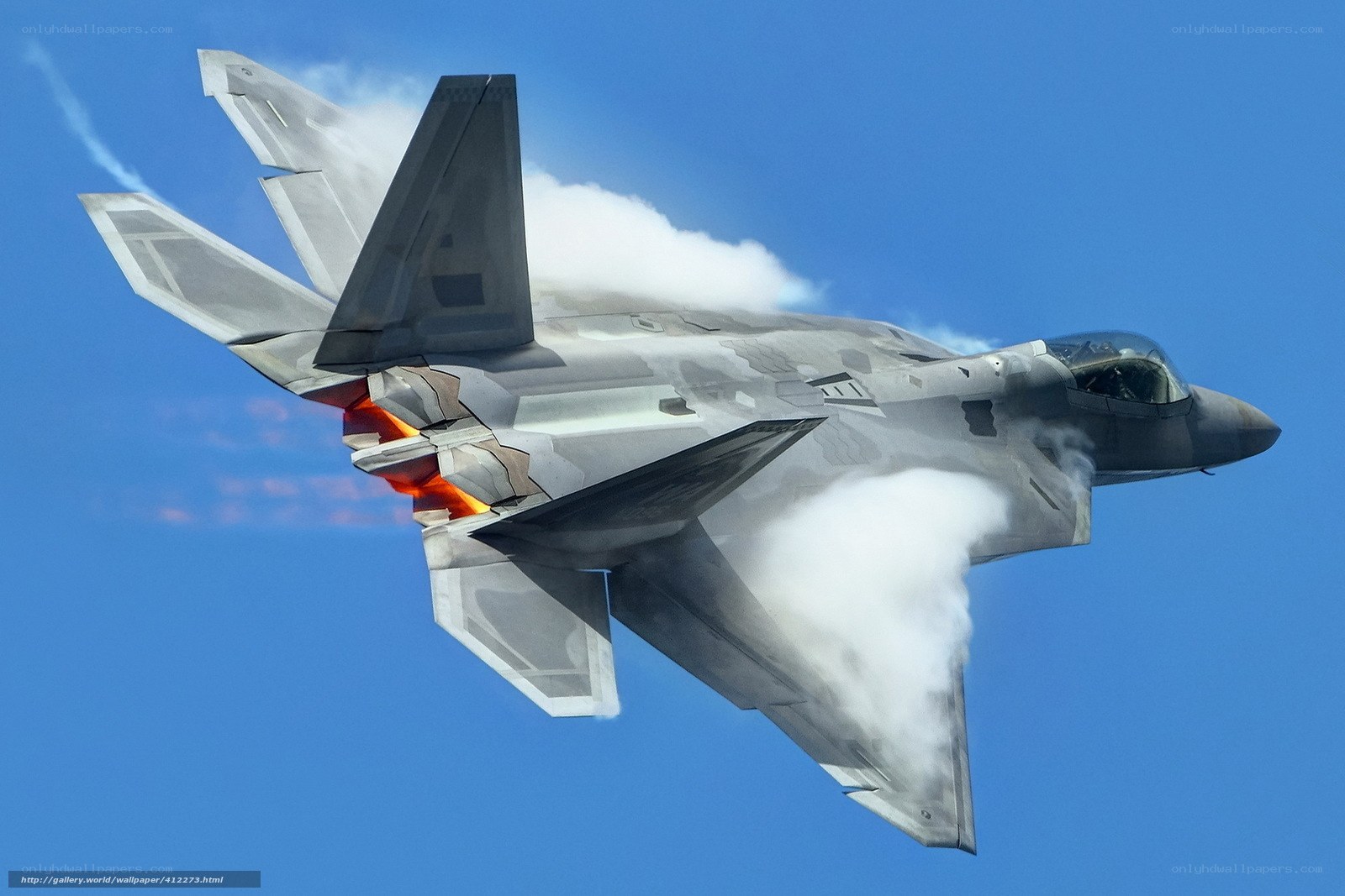 F-22 Raptor in flight