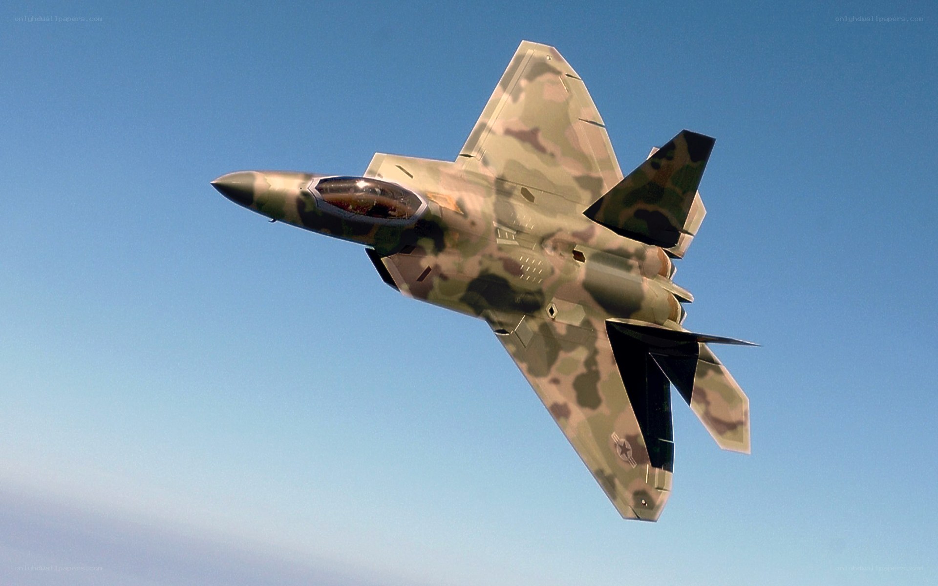 F-22 Raptor in flight