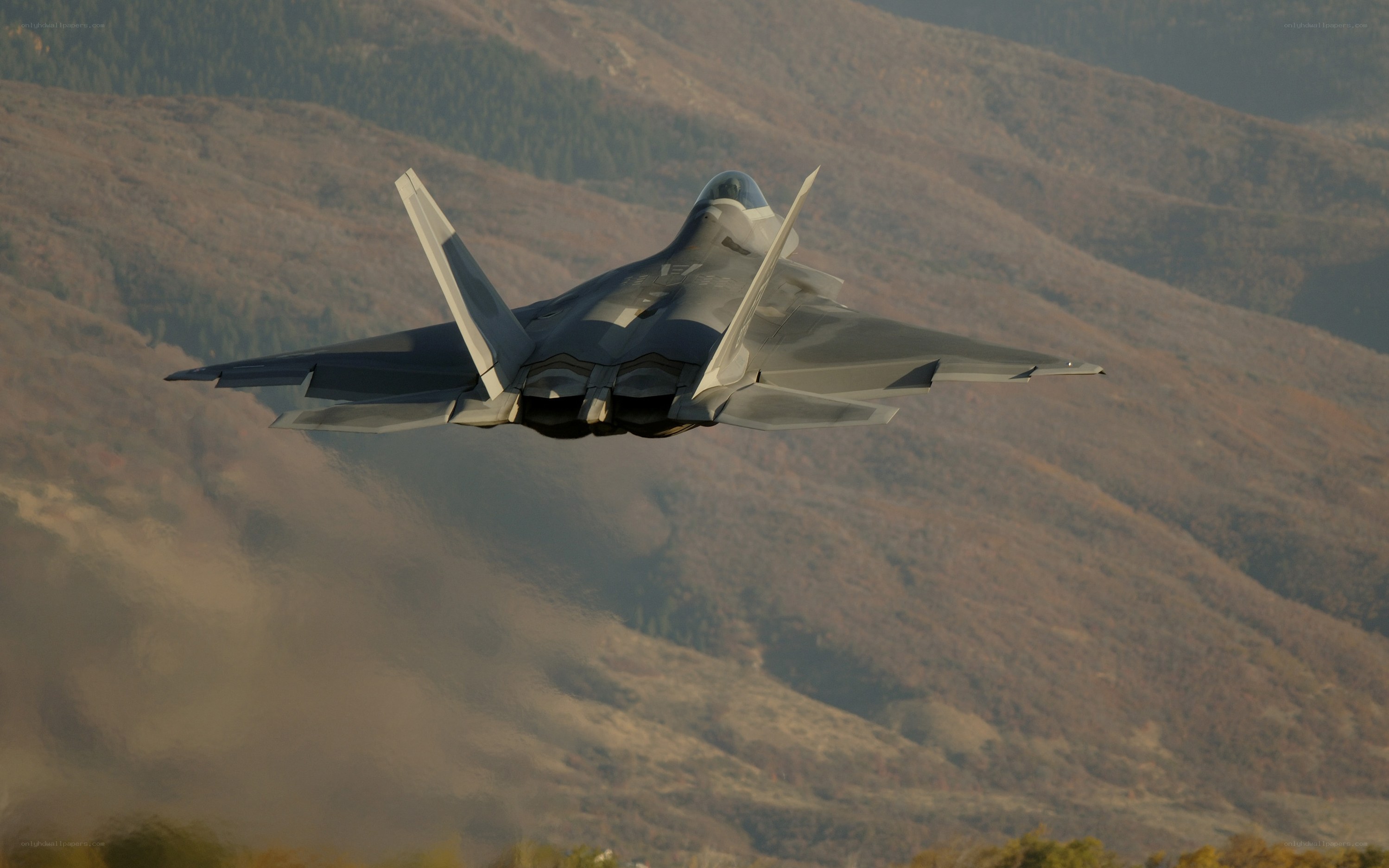 F-22 Raptor in flight