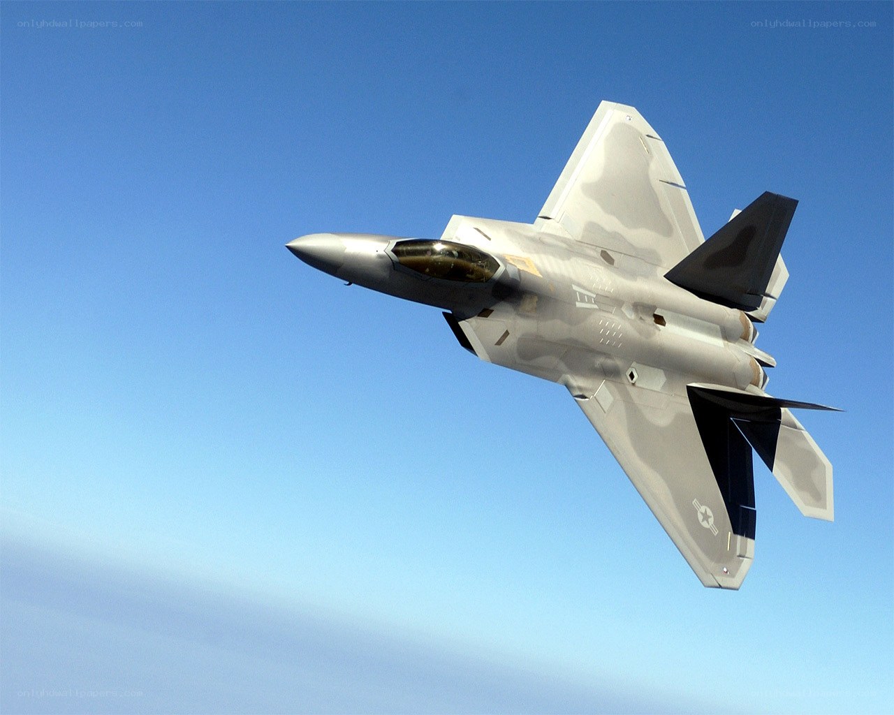F-22 Raptor in flight