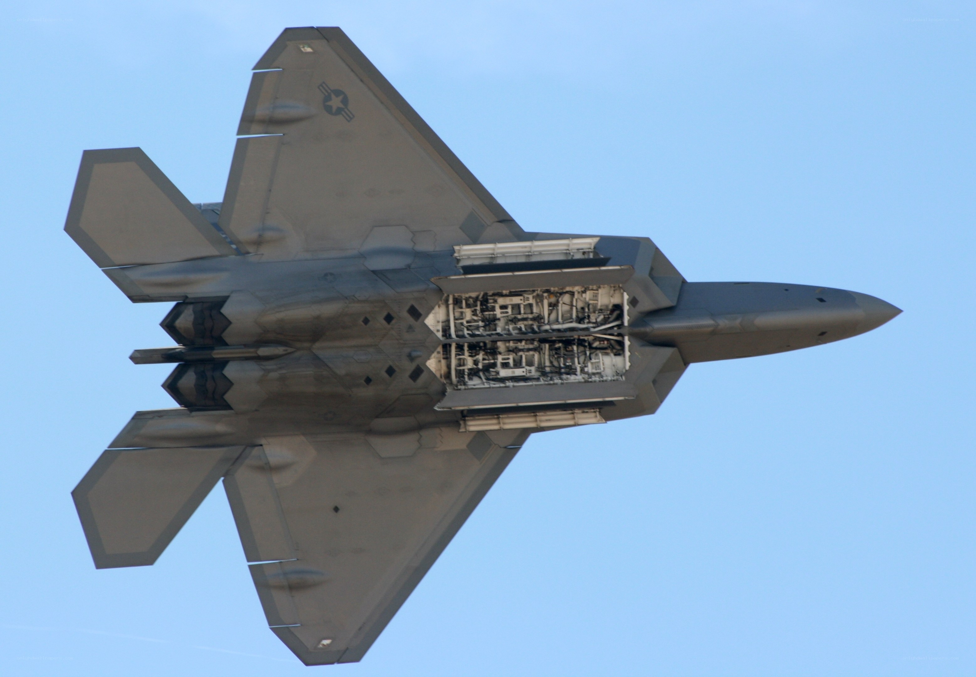 F-22 Raptor in flight