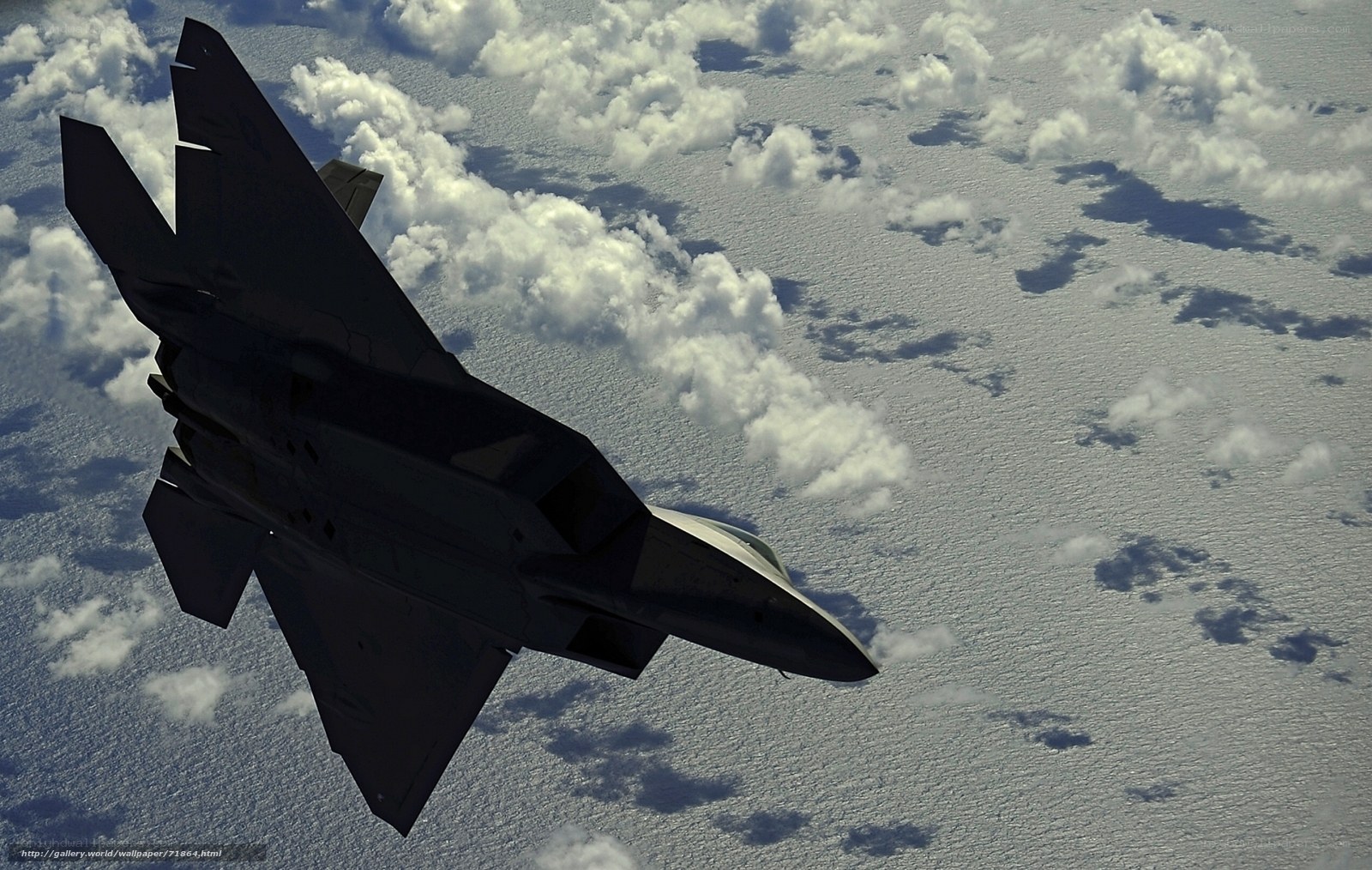 F-22 Raptor in flight