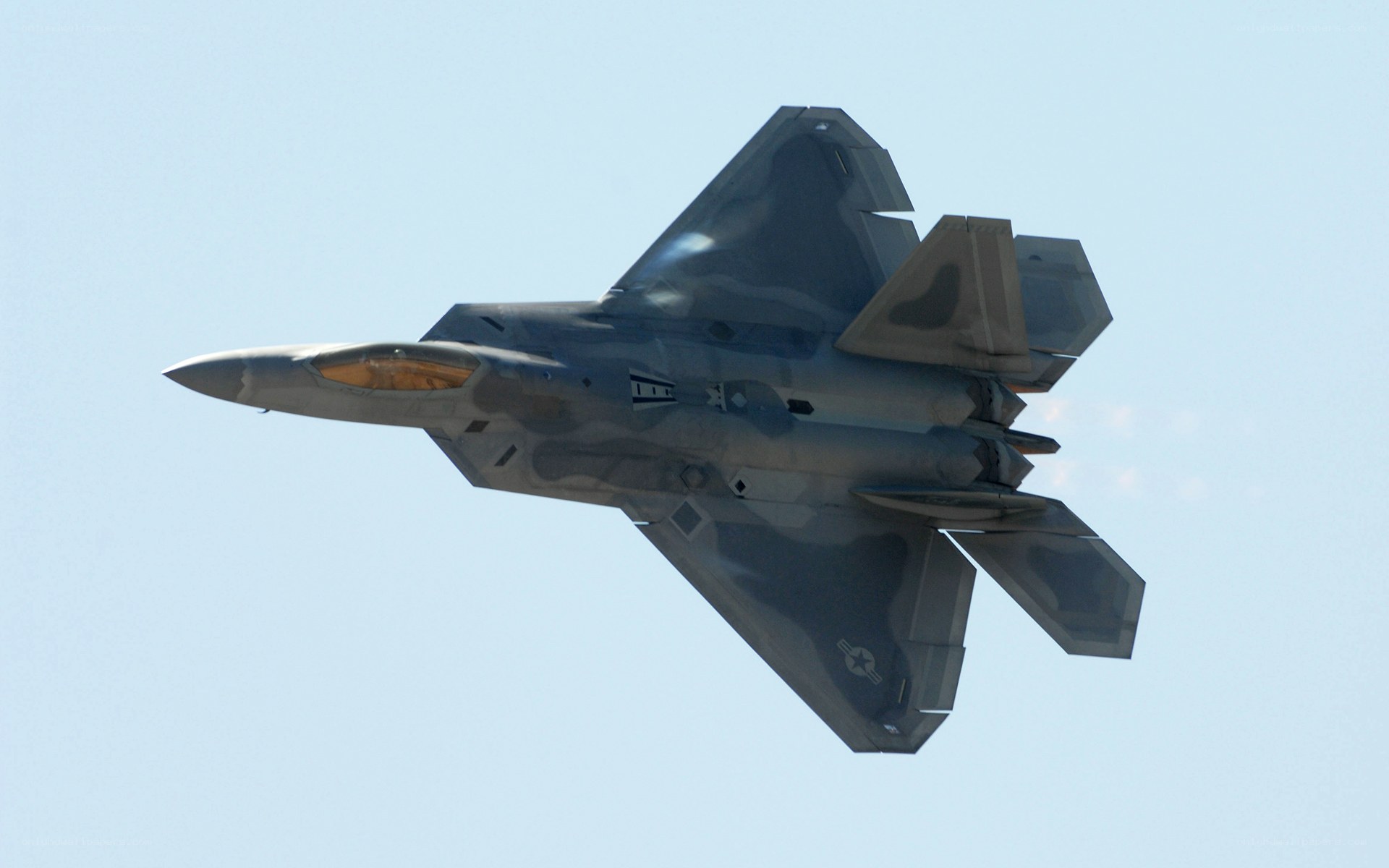 F-22 Raptor in flight