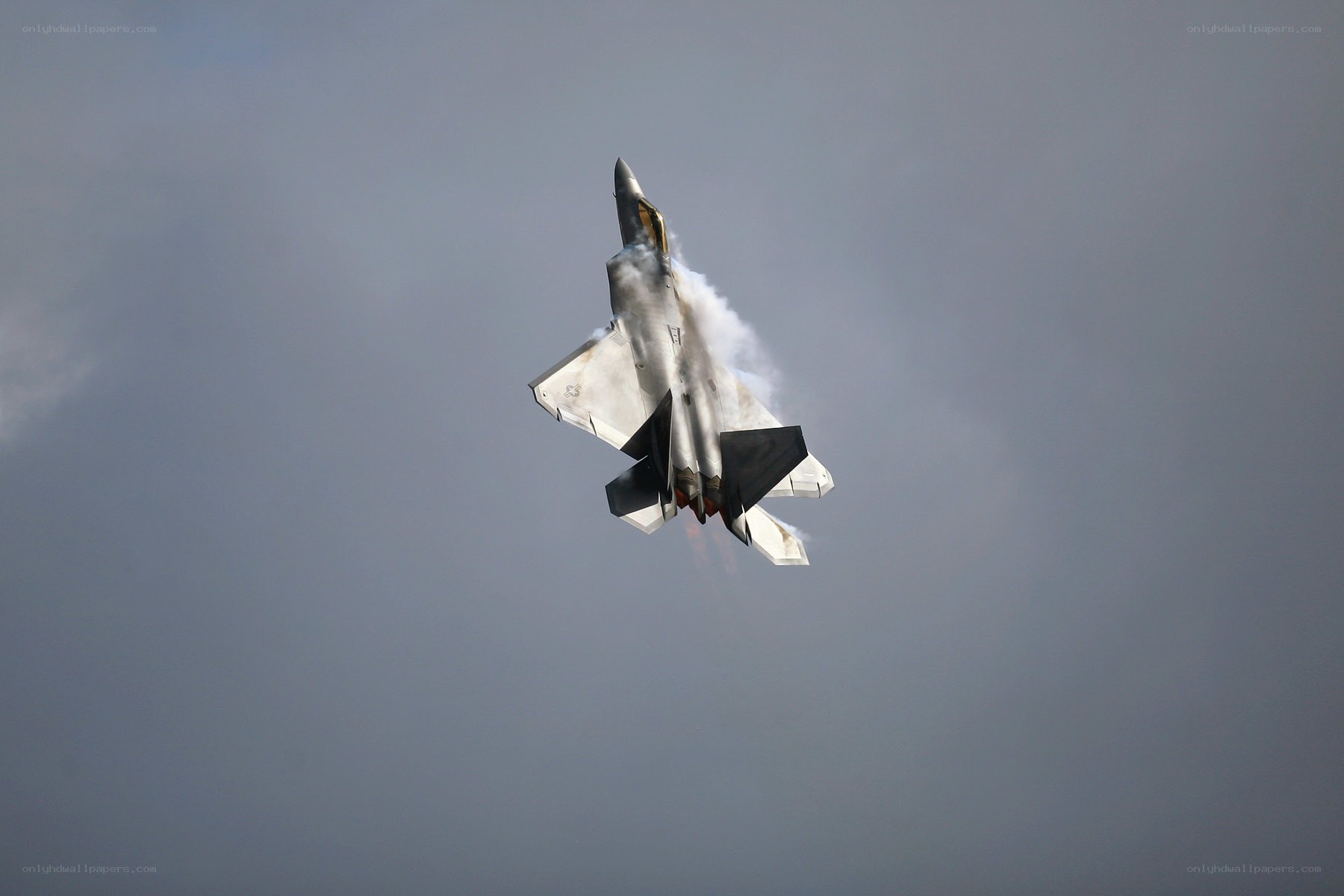 F-22 Raptor in flight