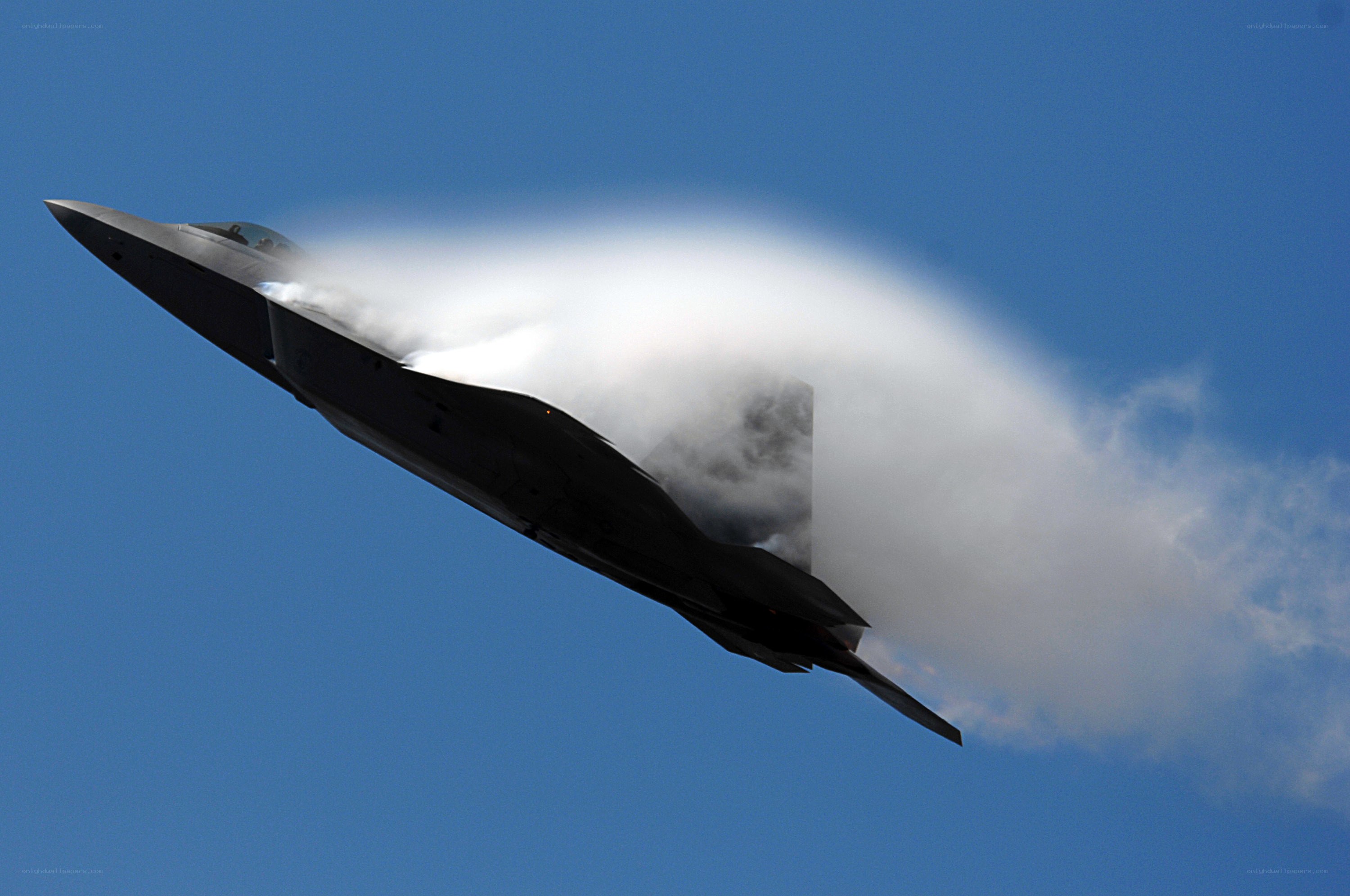 F-22 Raptor in flight