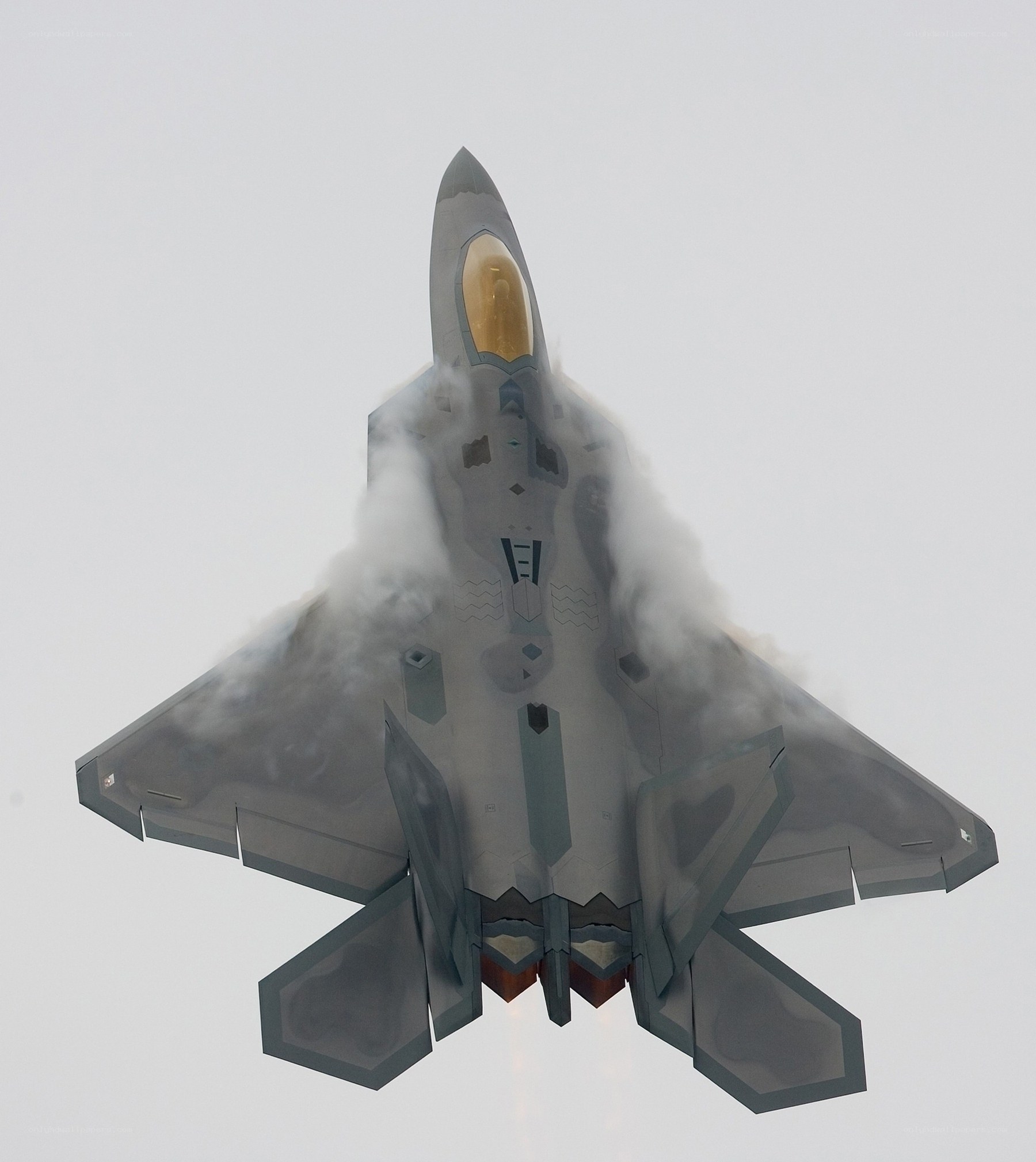 F-22 Raptor in flight
