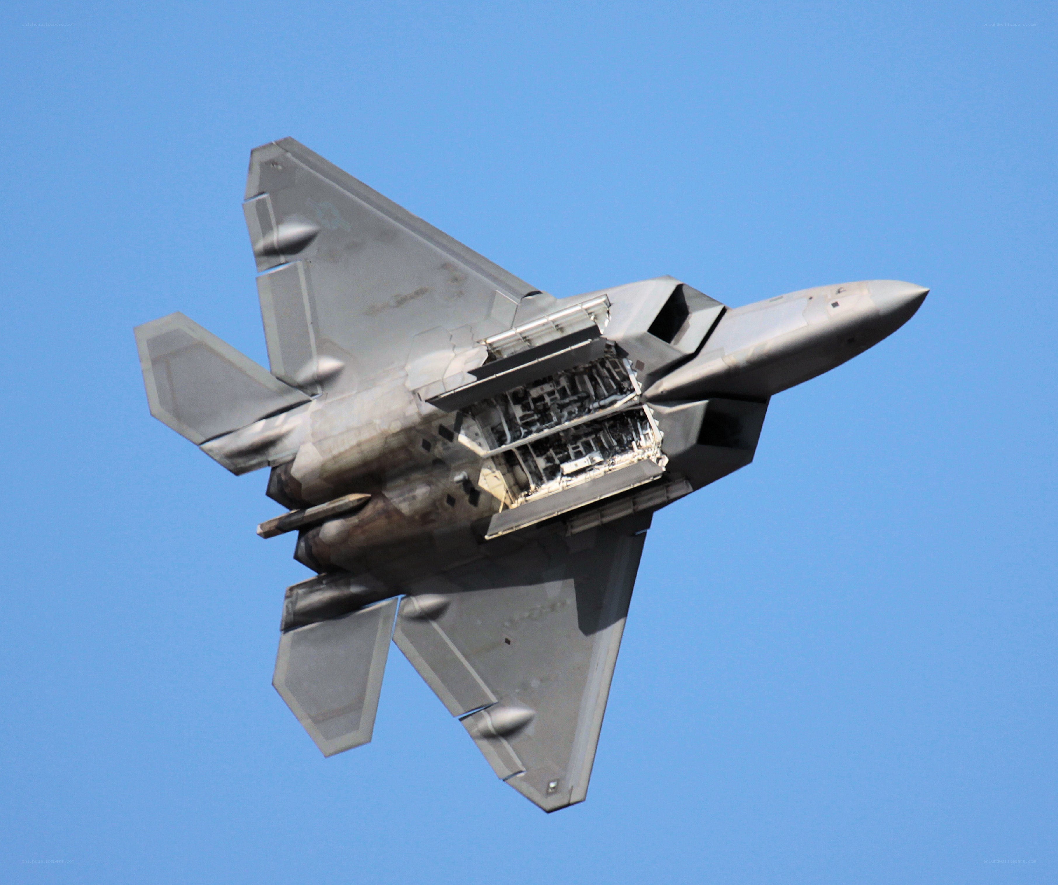 F-22 Raptor in flight