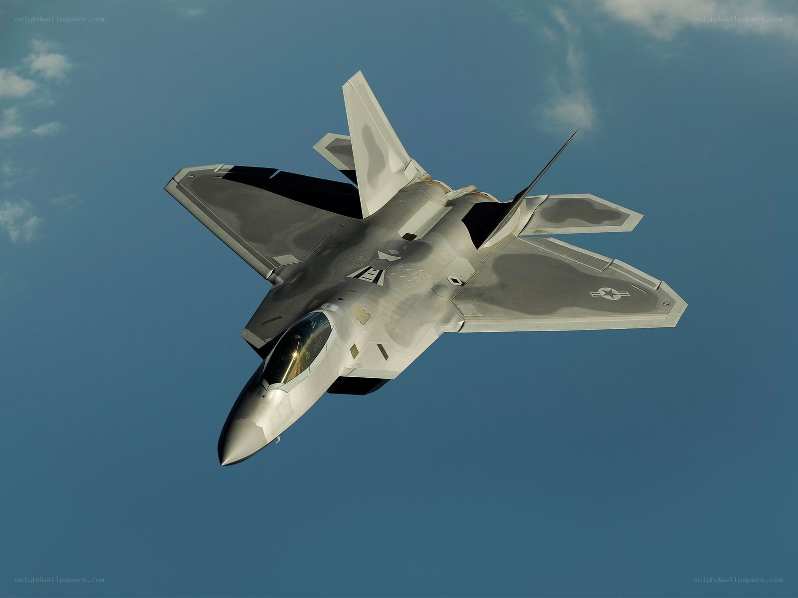 F-22 Raptor in flight