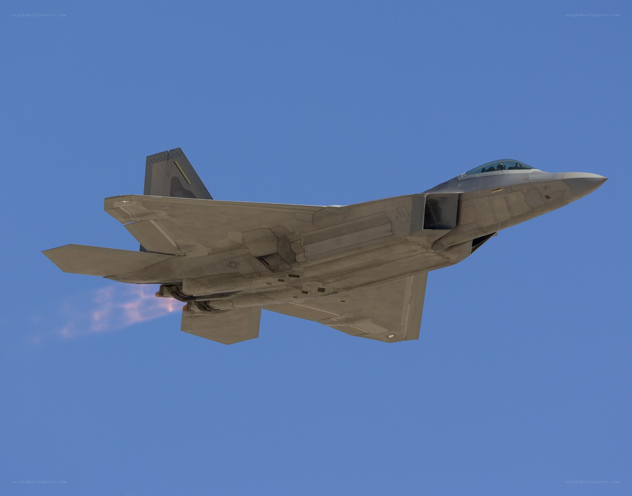 F-22 Raptor in flight