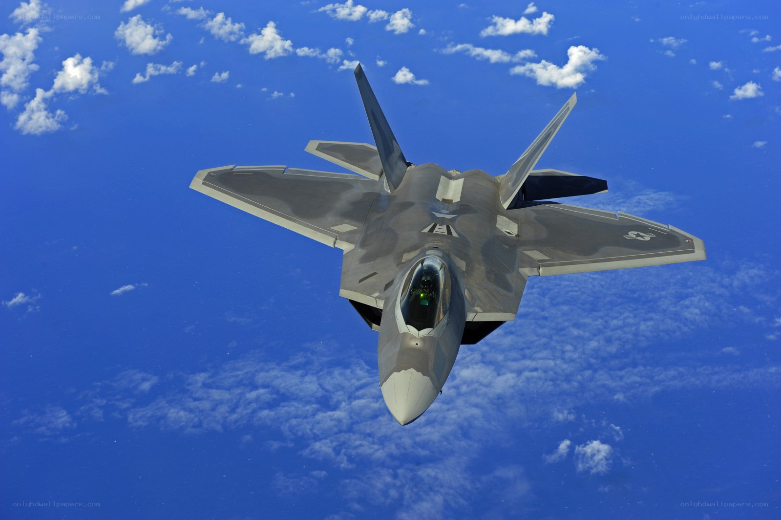 F-22 Raptor in flight