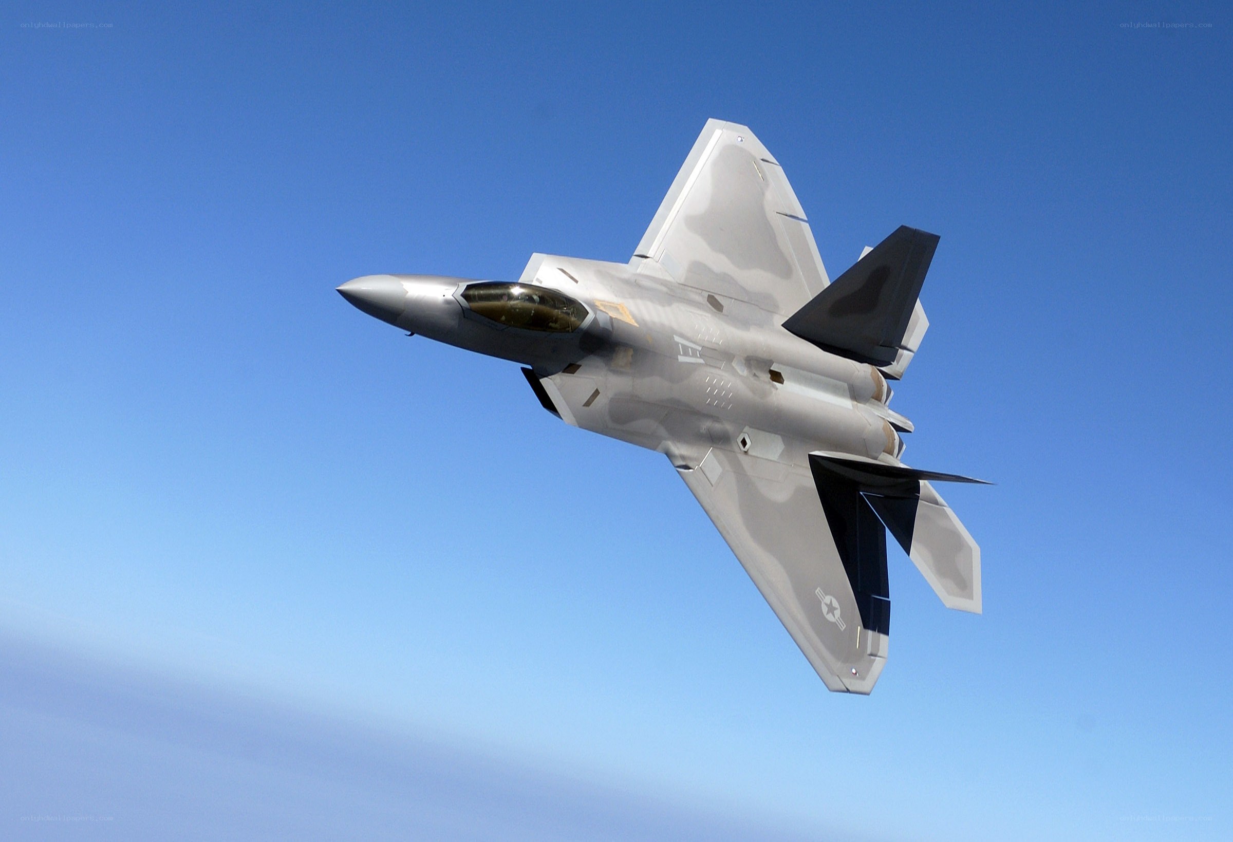 F-22 Raptor in flight