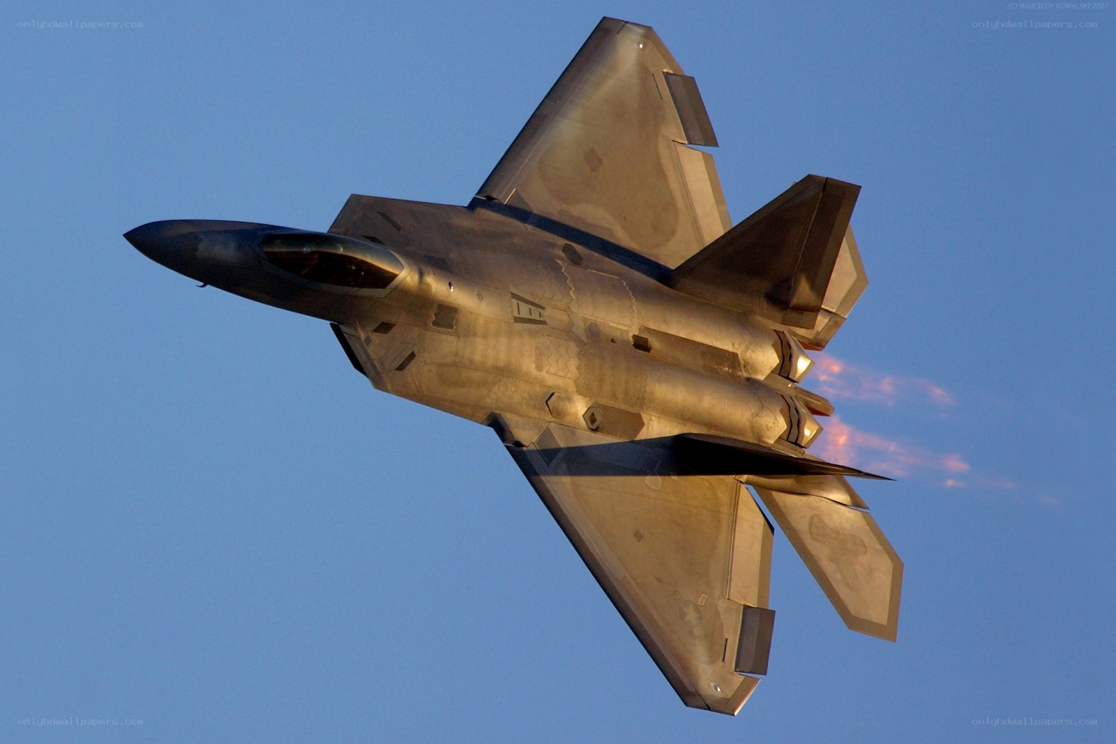 F-22 Raptor in flight