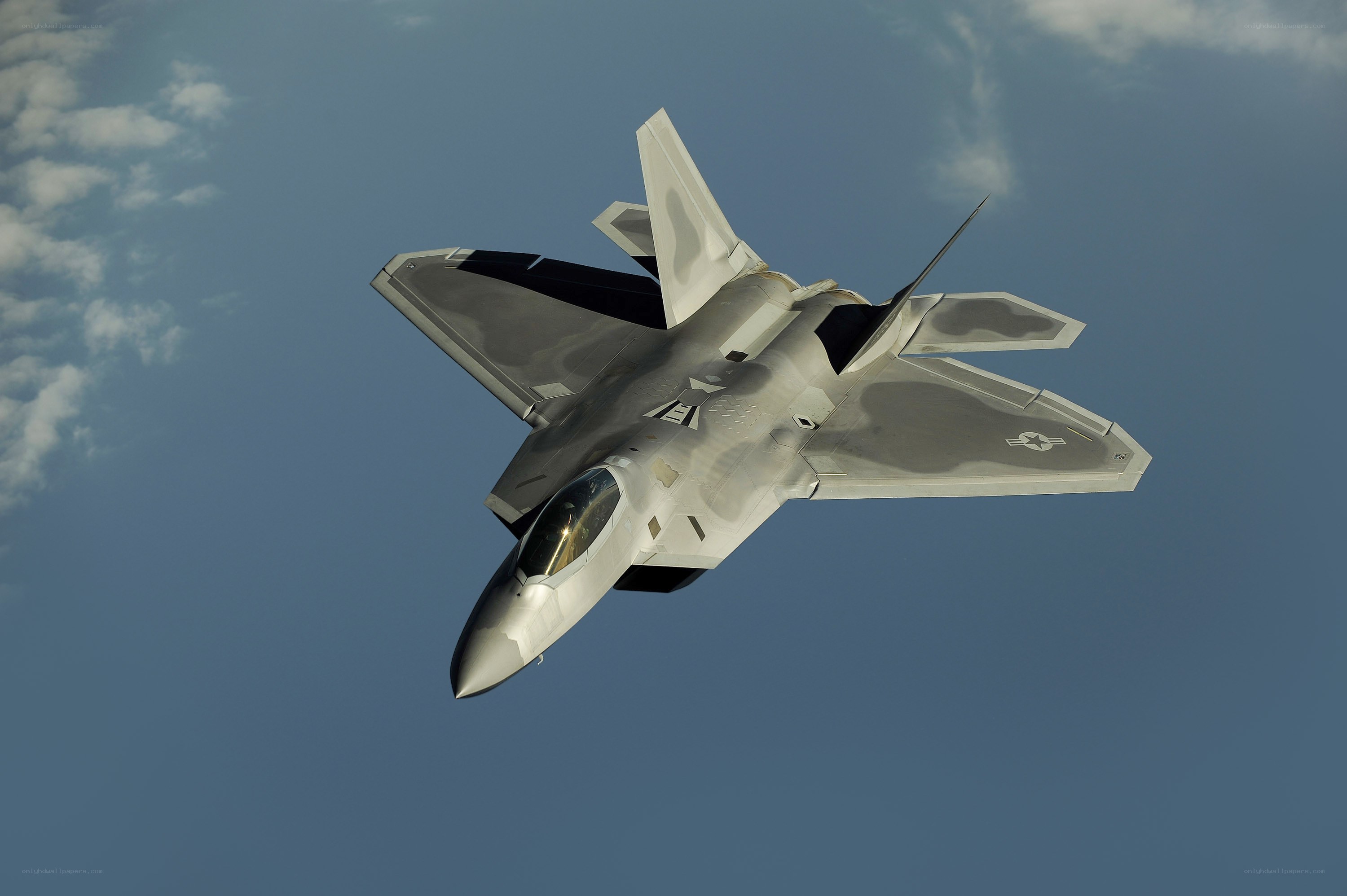F-22 Raptor in flight