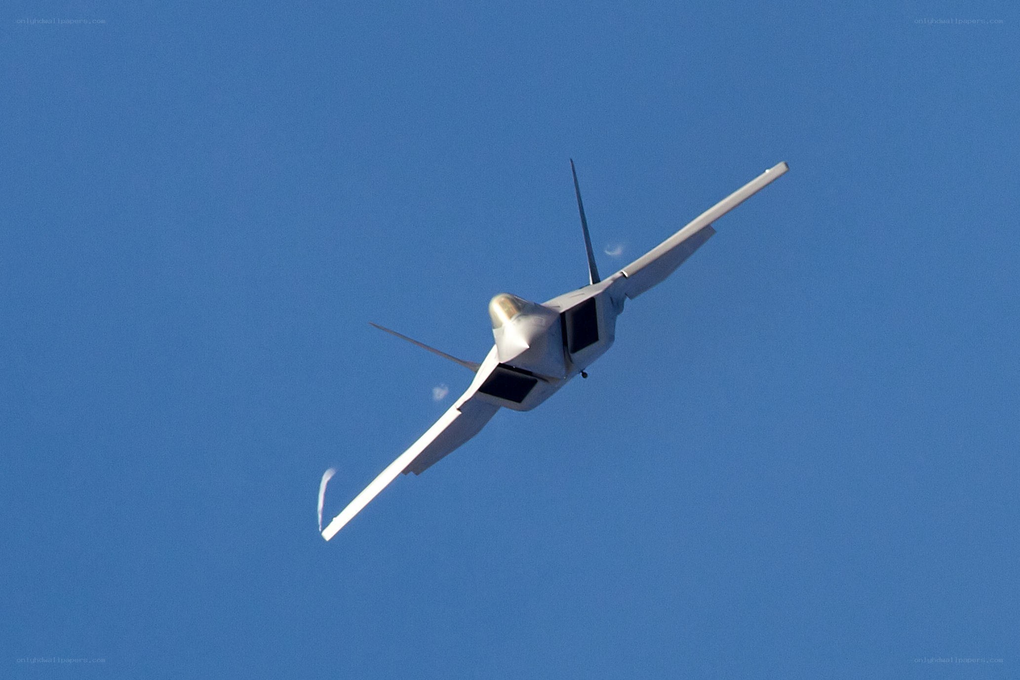 F-22 Raptor in flight