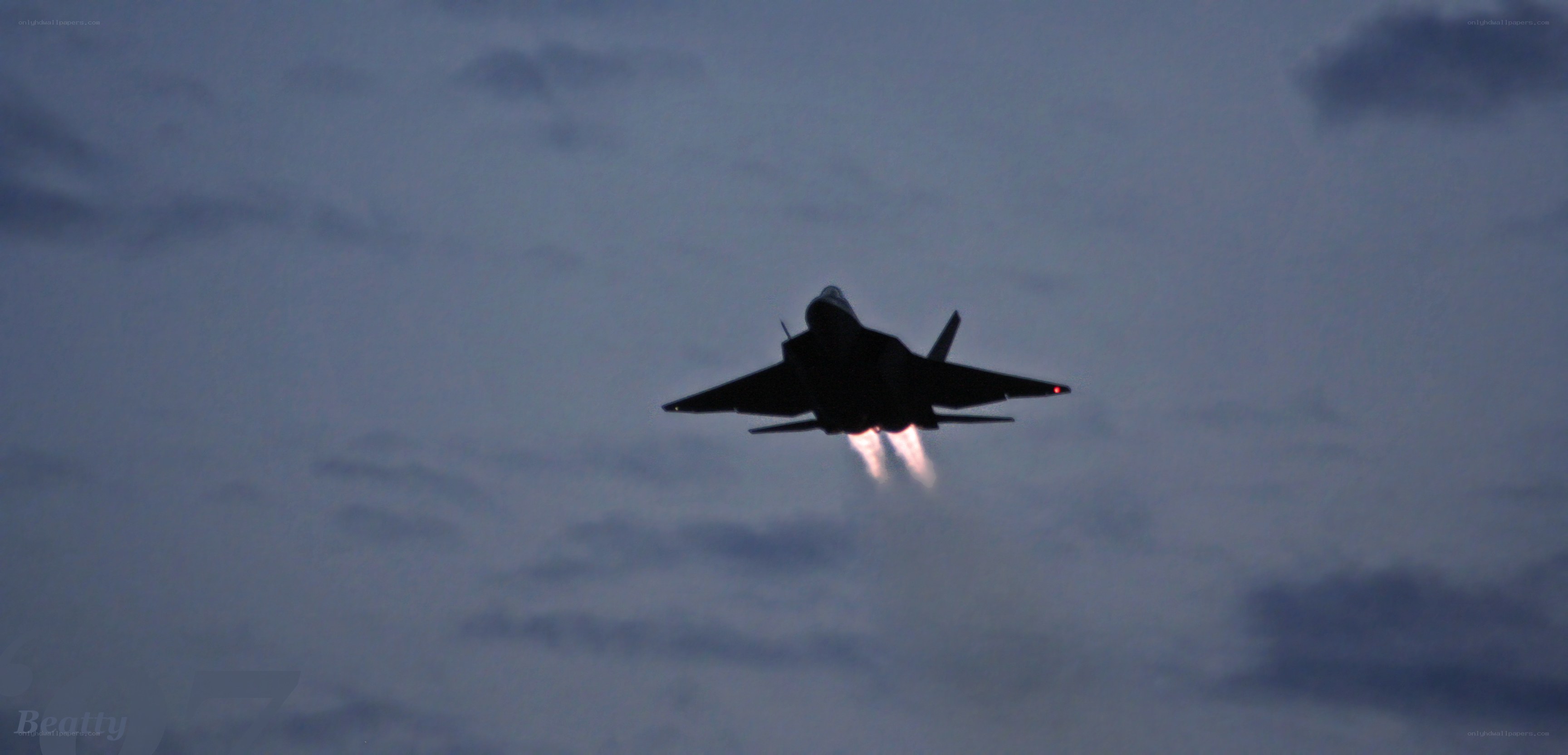 F-22 Raptor in flight