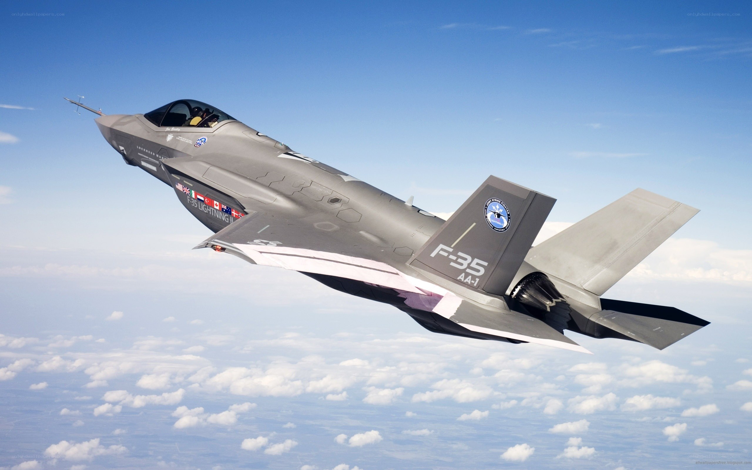 F-35 Lightning II in flight