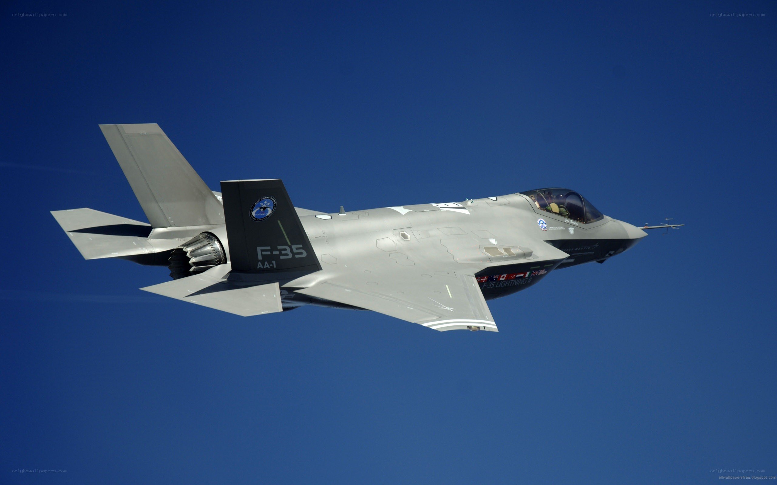 F-35 Lightning II in flight