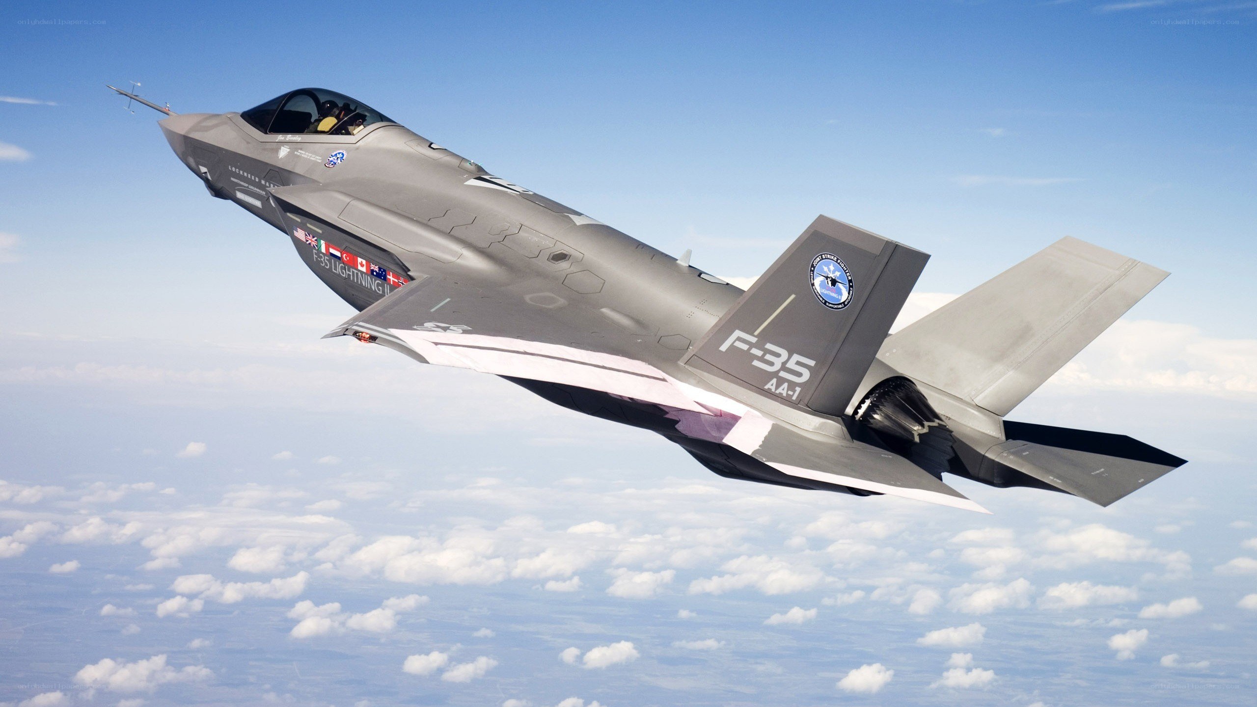 F-35 Lightning II in flight