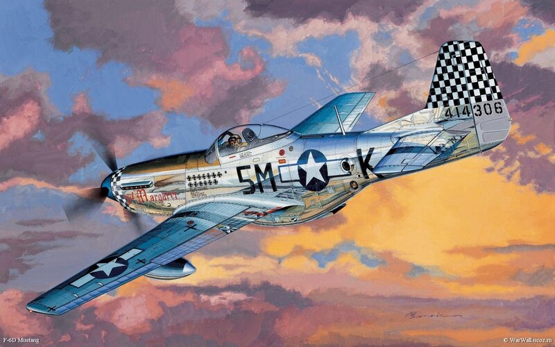 F-6D Mustang Aircraft