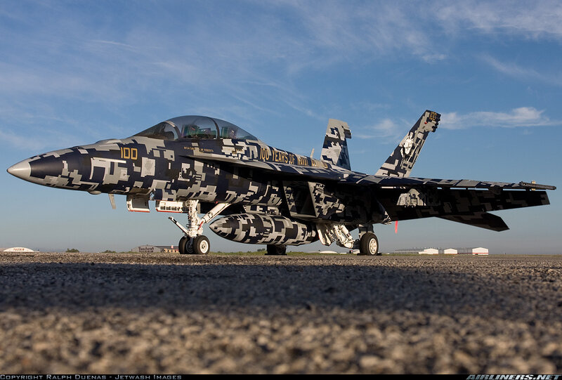F/A-18 Hornet in digital camouflage