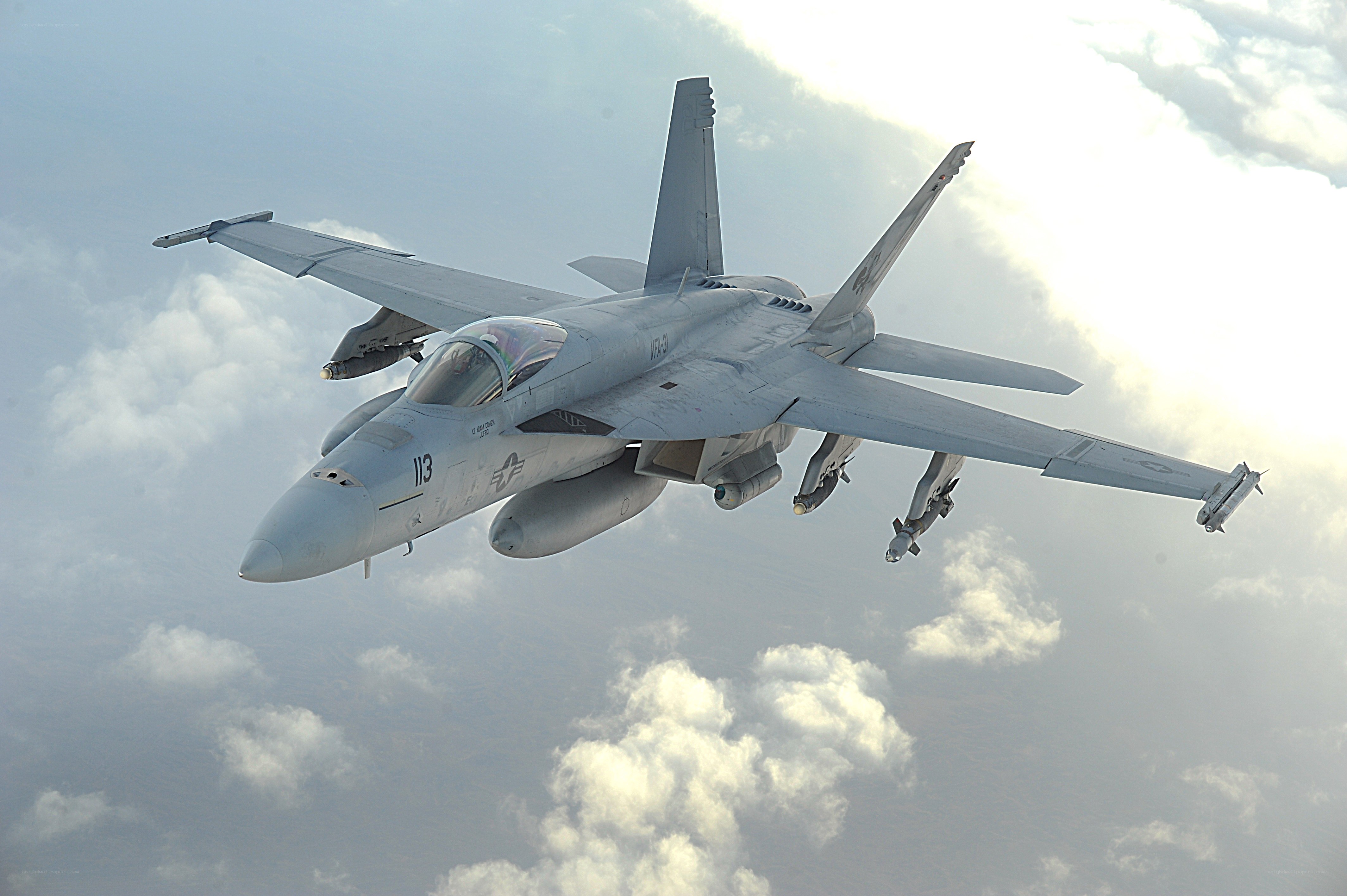 F/A-18 Hornet in flight