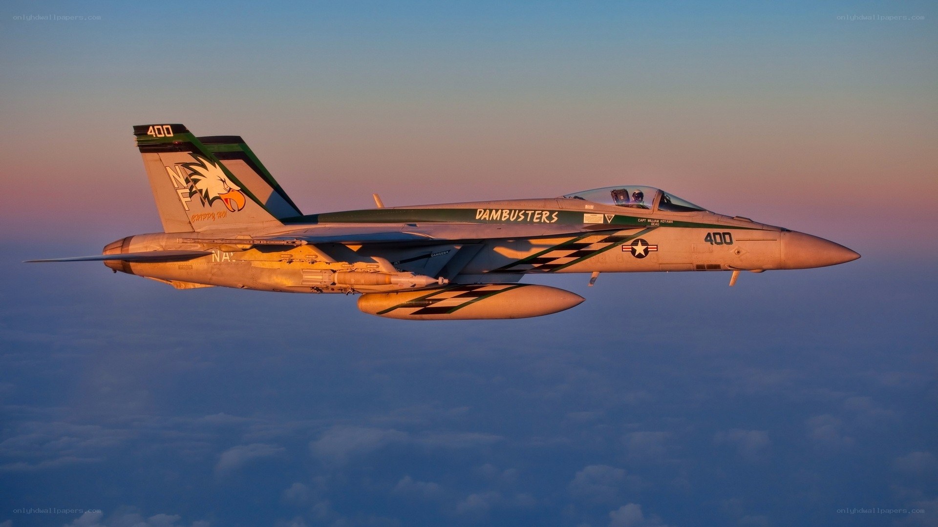 F/A-18 Hornet in flight