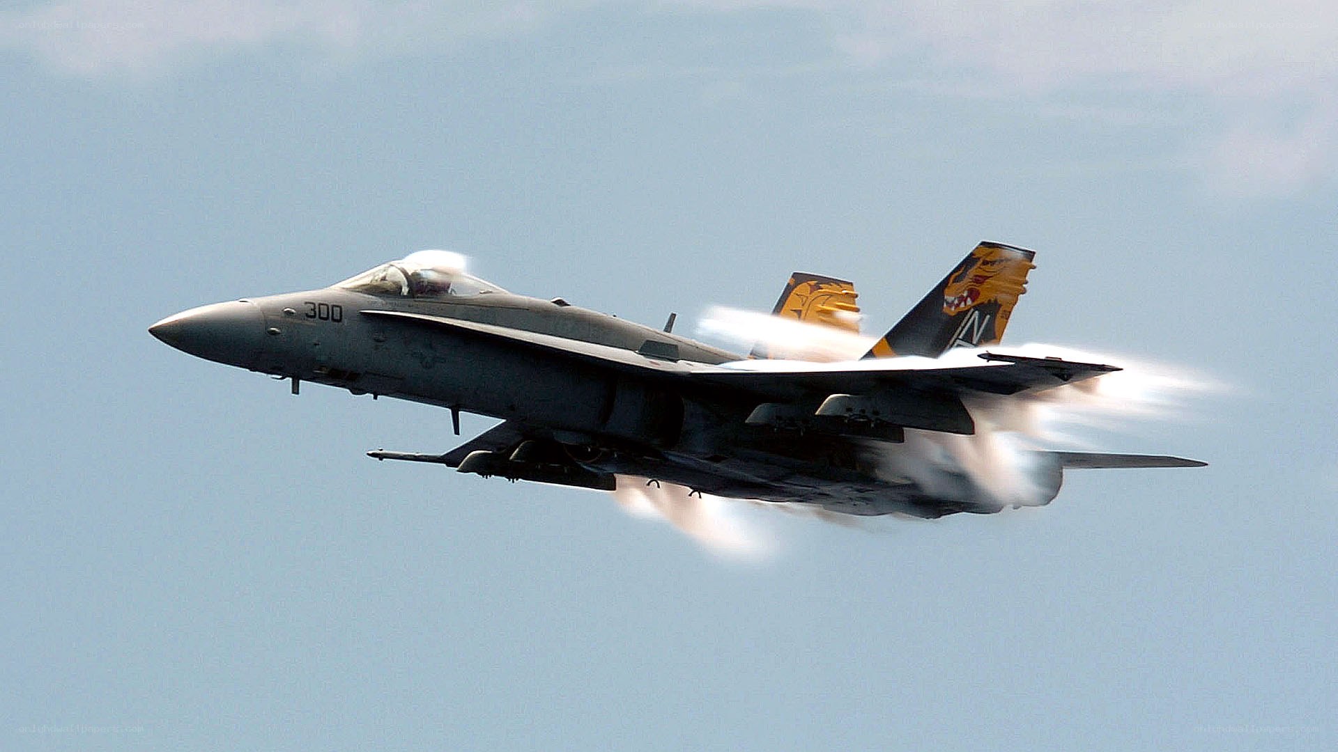 F/A-18 Hornet in flight