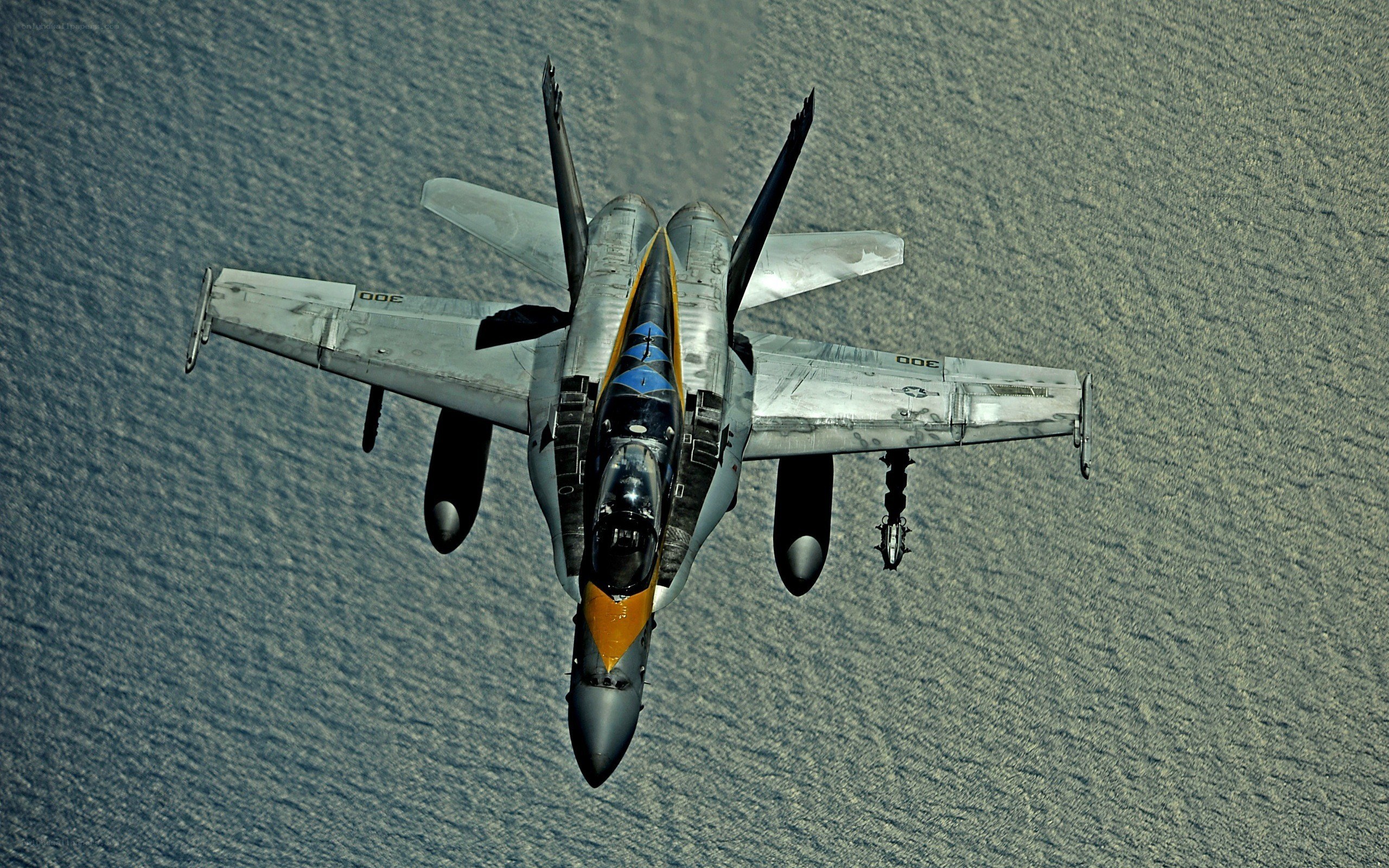 F/A-18 Hornet in flight