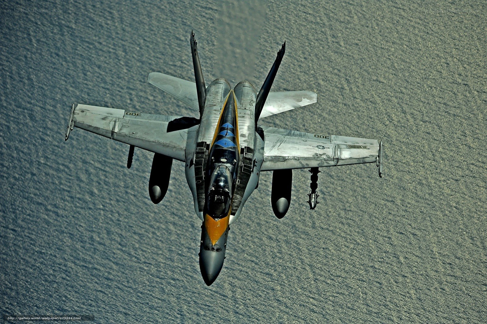 F/A-18 Hornet in flight