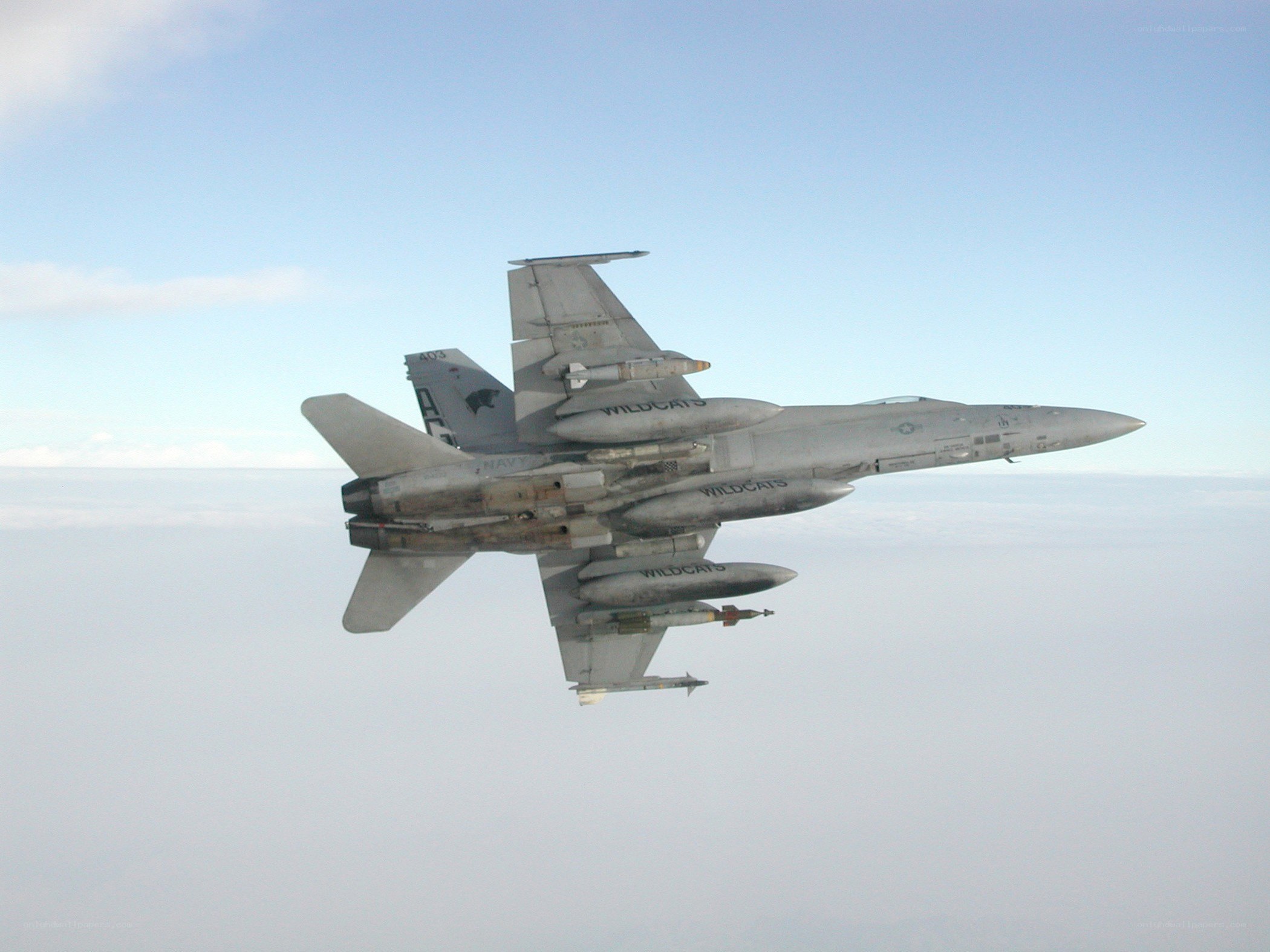 F/A-18 Hornet in flight