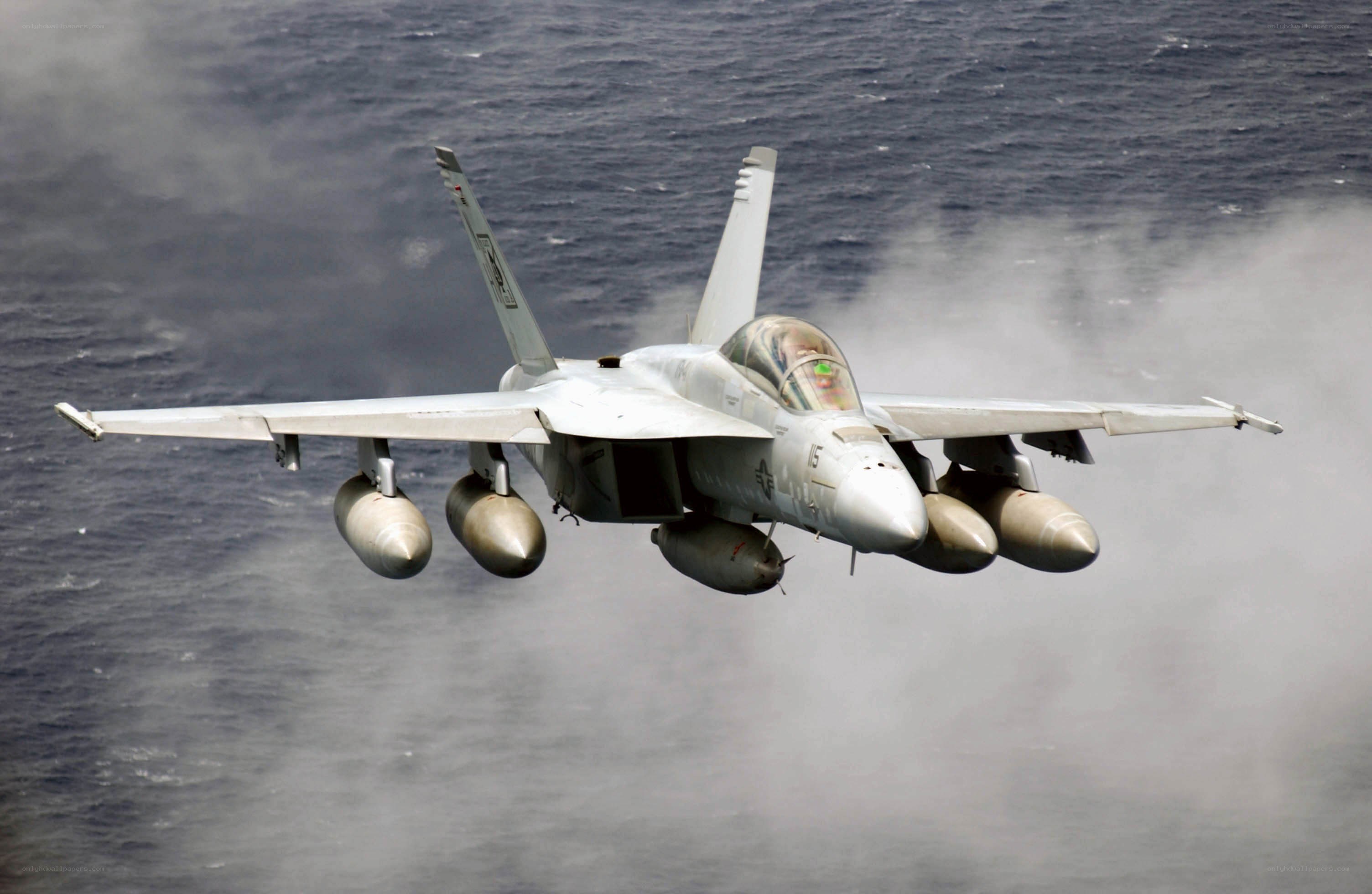 F/A-18 Hornet in flight