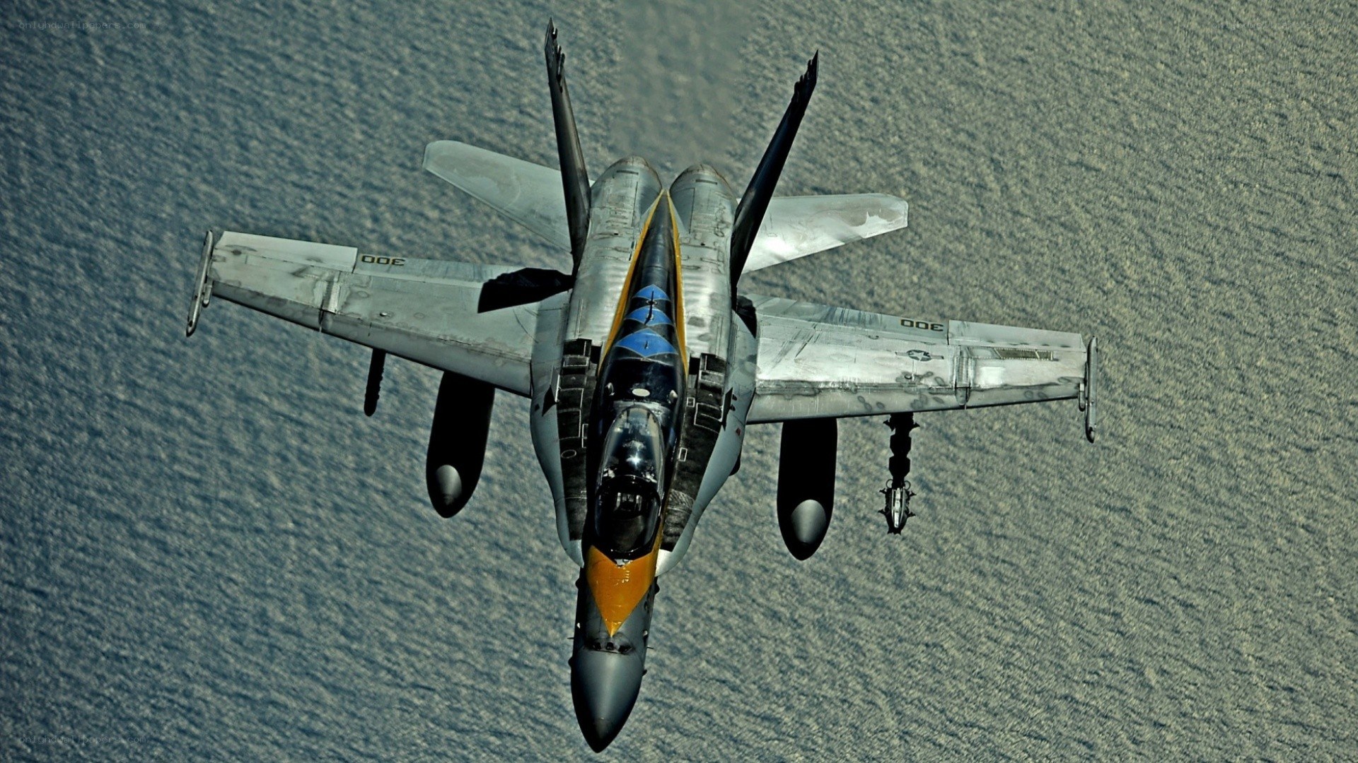 F/A-18 Hornet in flight