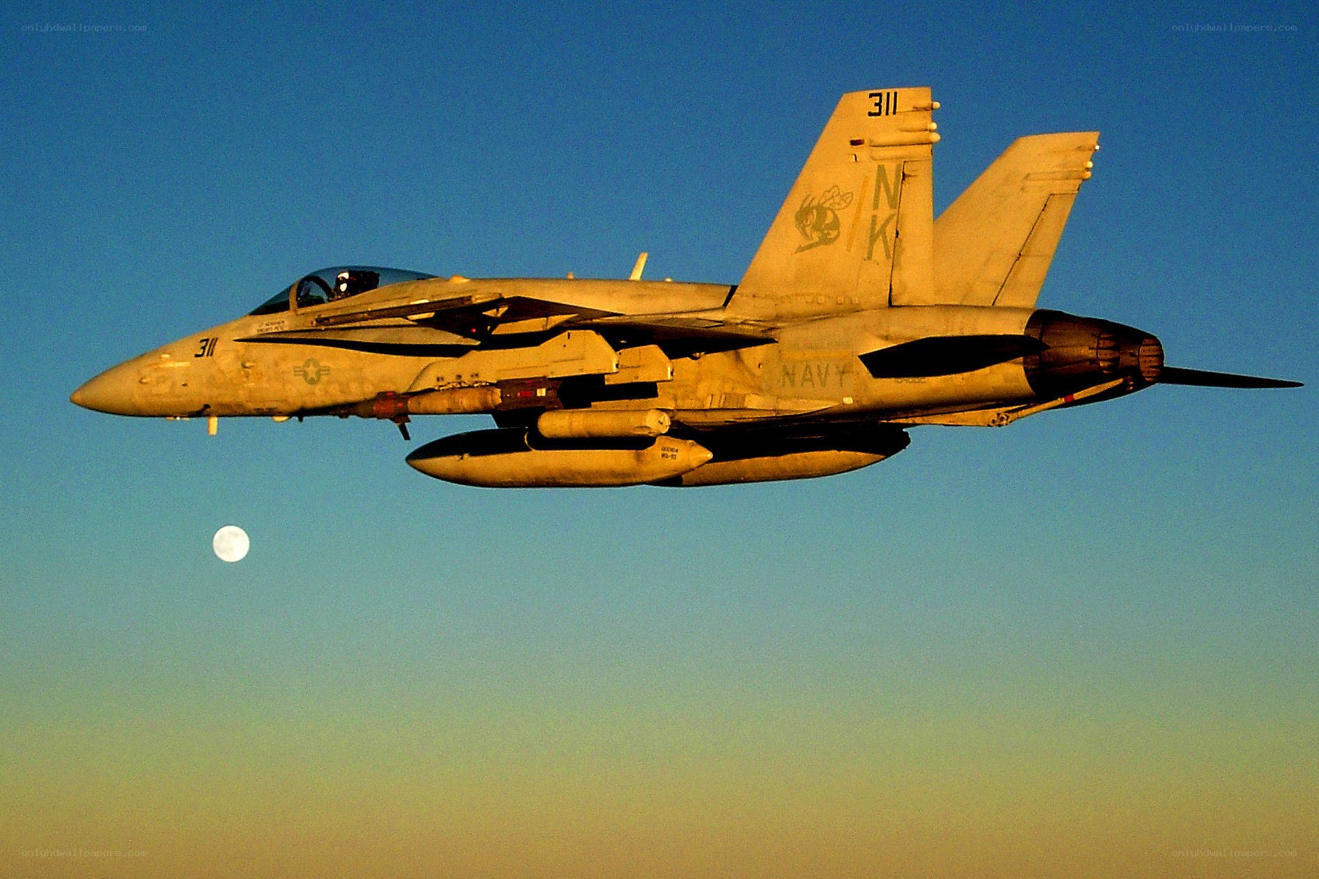 F/A-18 Hornet in flight