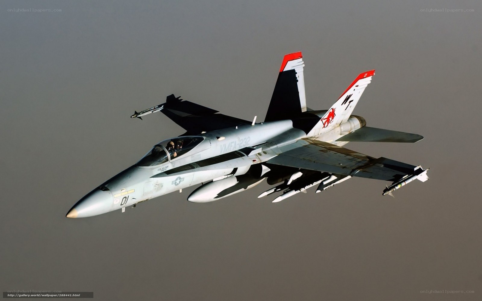 F/A-18 Hornet in flight