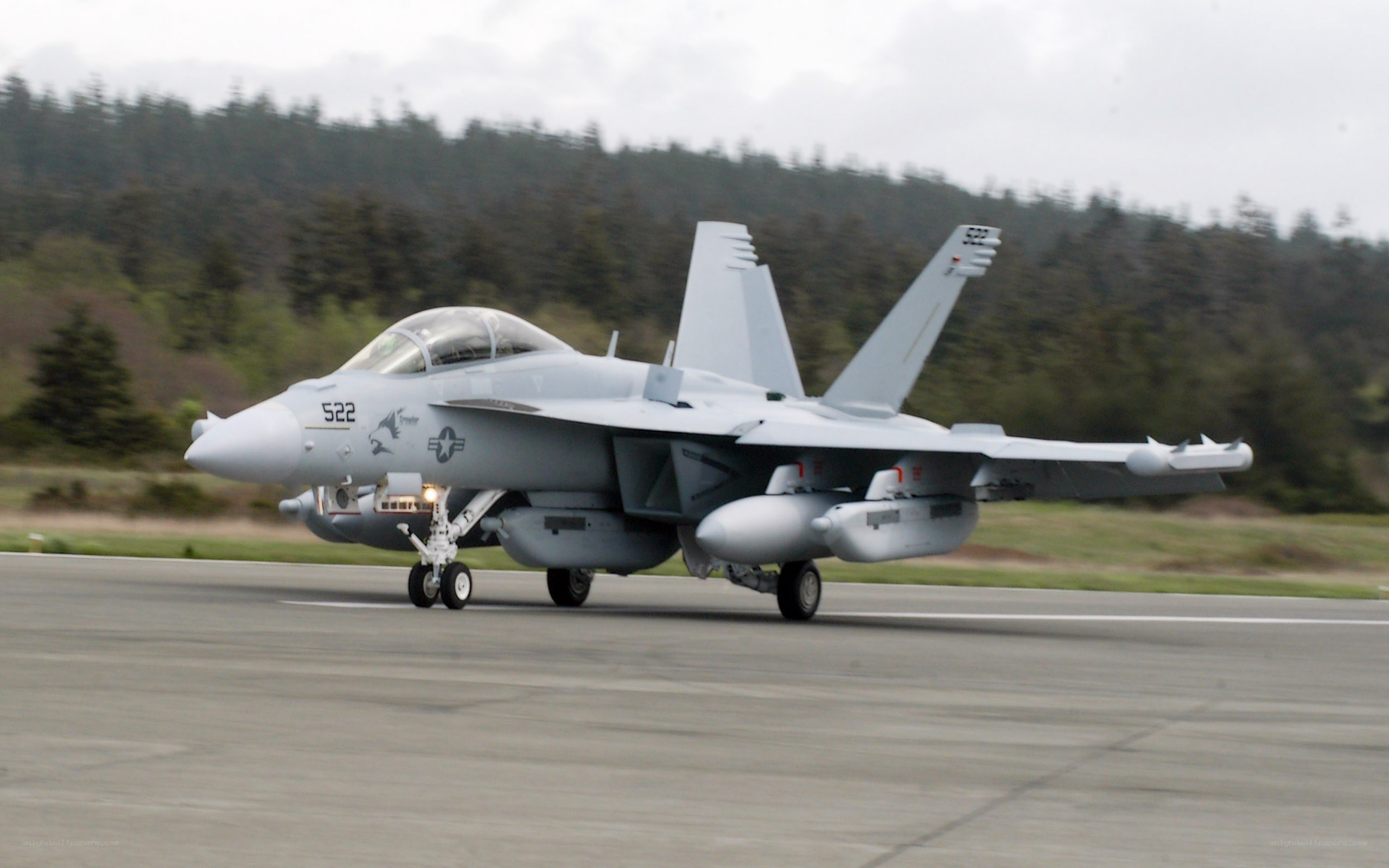 F/A-18 Hornet on runway