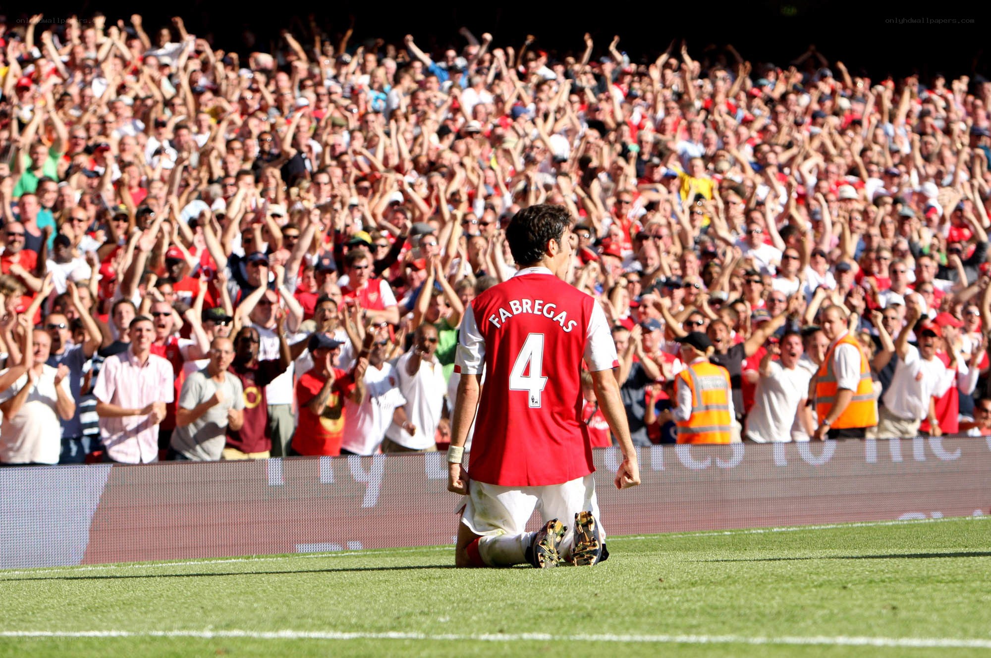 Fabregas on the pitch