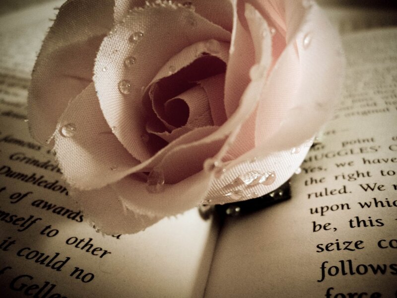 Fabric Rose on Book