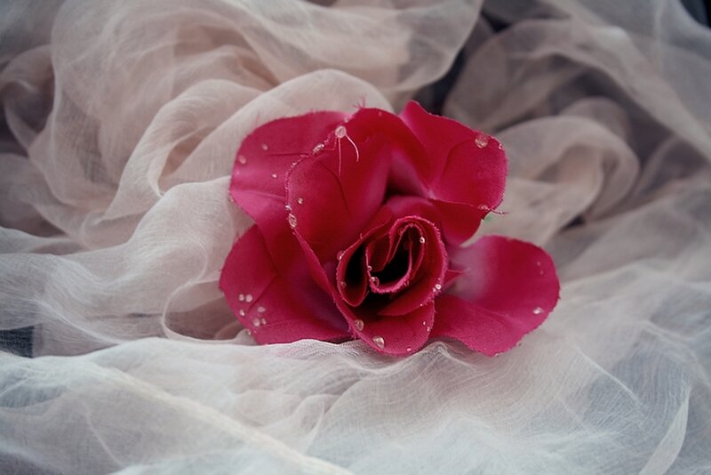 Fabric Rose on Cloth
