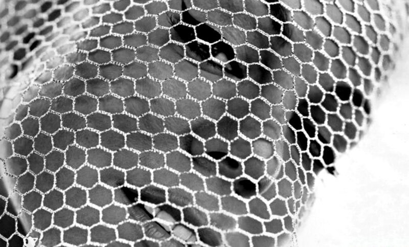 Face Behind Mesh Veil