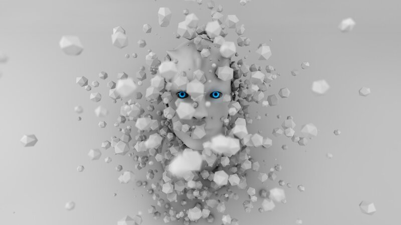 Face Emerging from Fragments — Gray