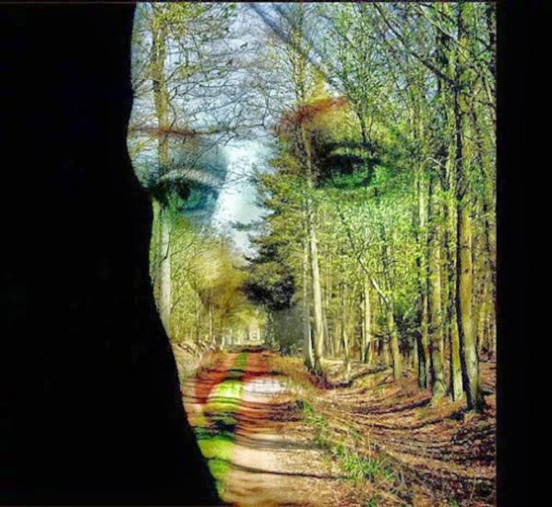 Face in Forest — Green