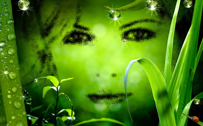 Face in Green Foliage