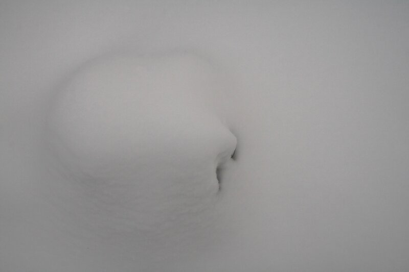 face in the snow