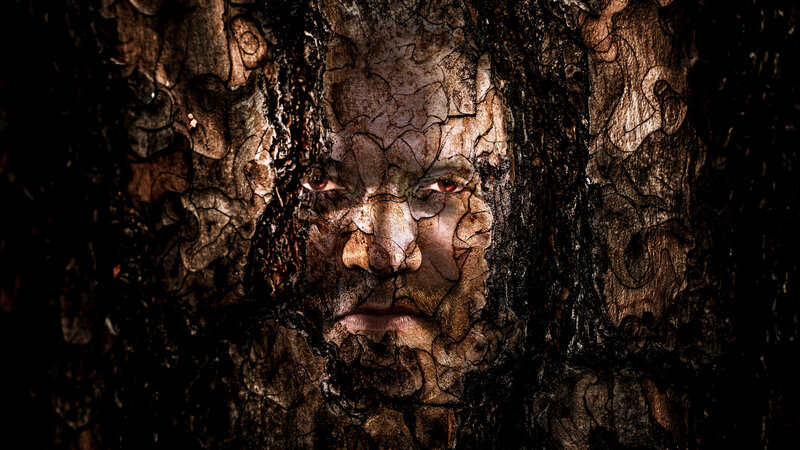 Face in Tree Bark