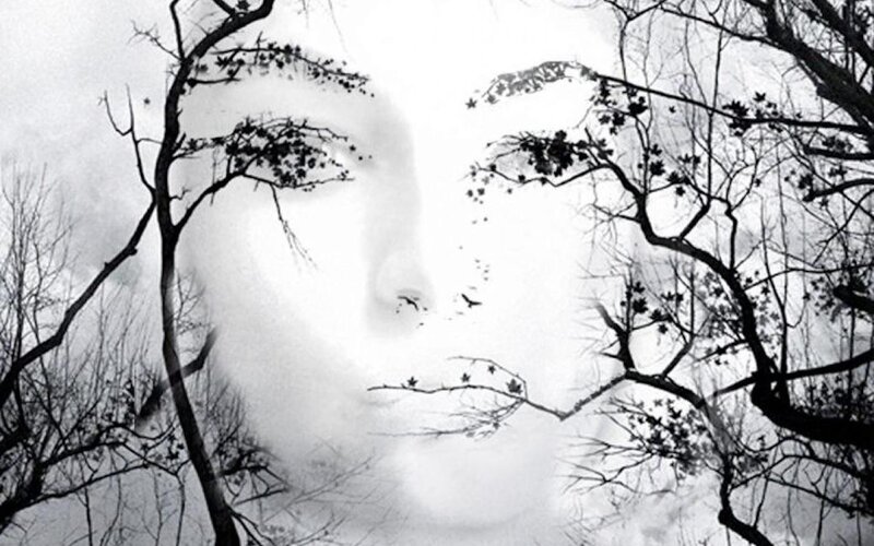 Face in Tree Branches — Black