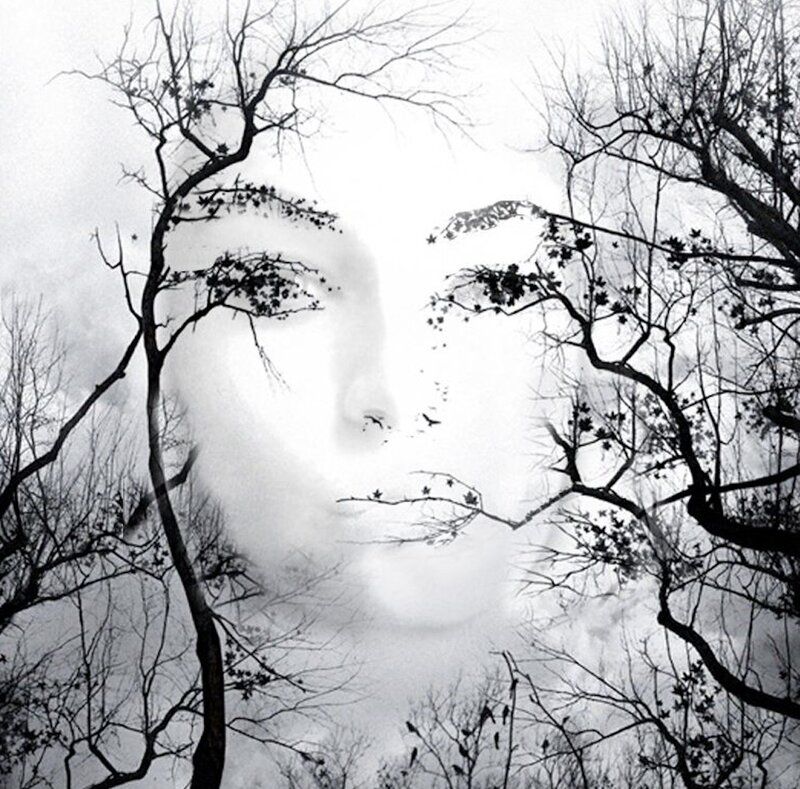 Face in Tree Branches