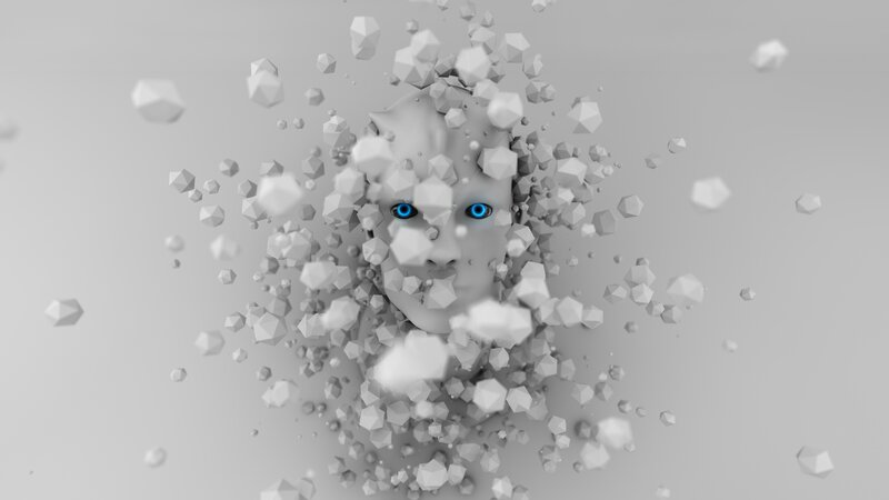 Face Made of Fragments