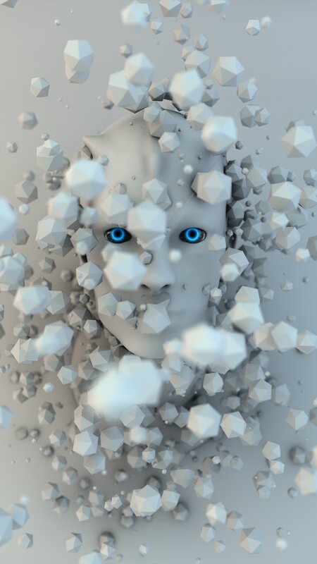 Face Made of Geometric Fragments
