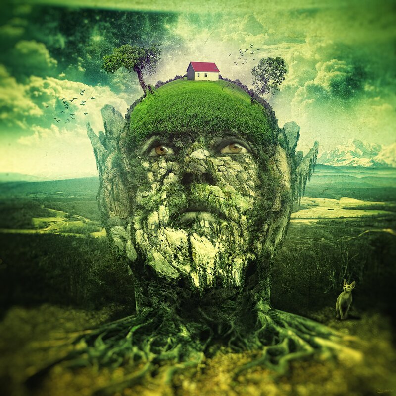 face made of nature and landscape