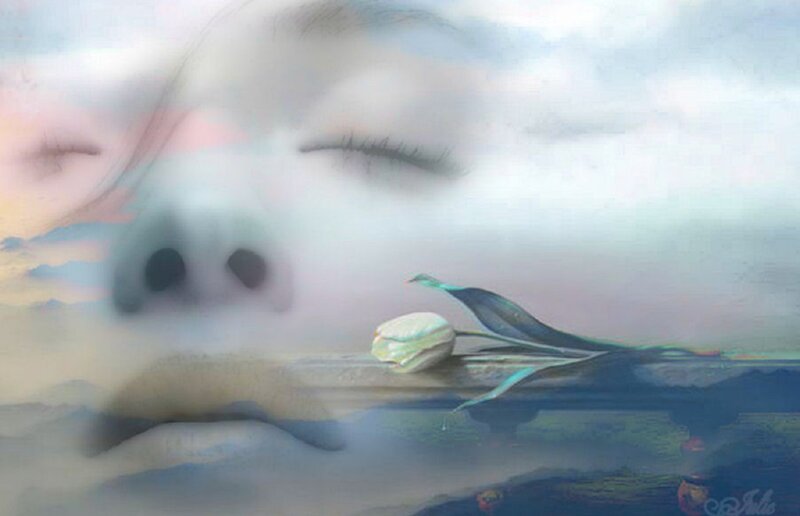 Face with Closed Eyes — White